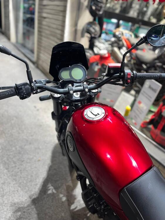 Benelli Leoncino 500 (2021 - 24) (5)