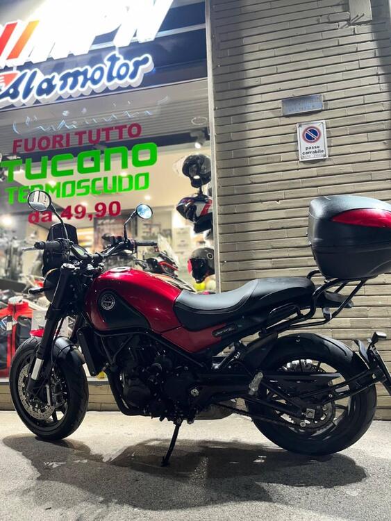 Benelli Leoncino 500 (2021 - 24) (3)