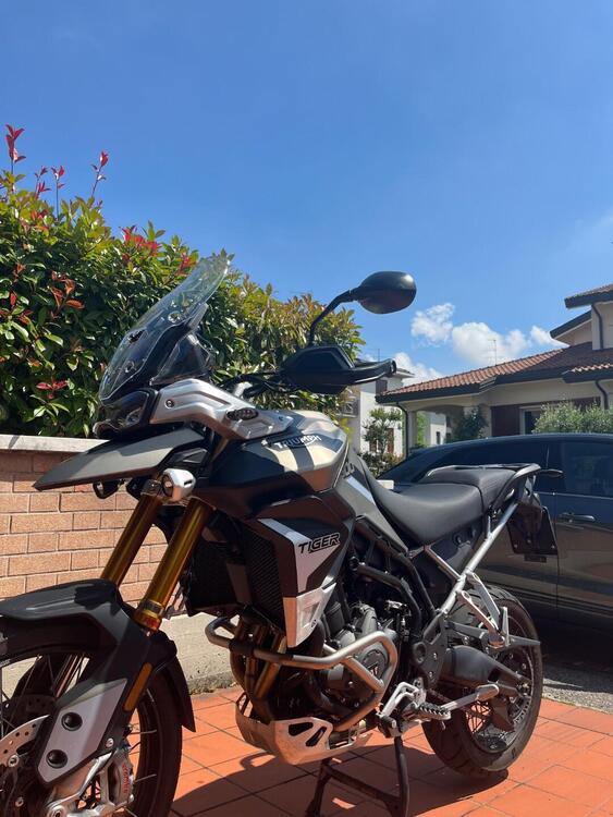 Triumph Tiger 900 Rally Pro (2020 - 23) (3)