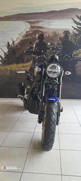 Yamaha XSR 125 (2021 - 24) (2)