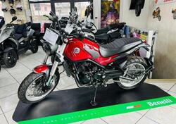 Benelli Leoncino 500 (2021 - 24) nuova