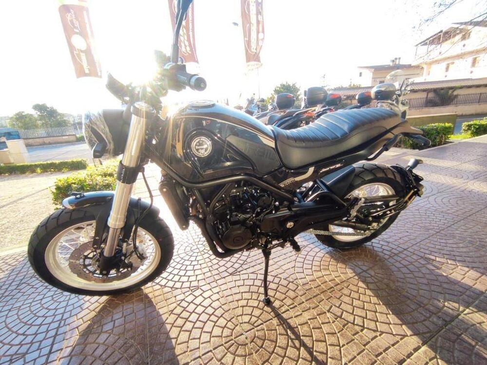 Benelli Leoncino 500 (2021 - 24)