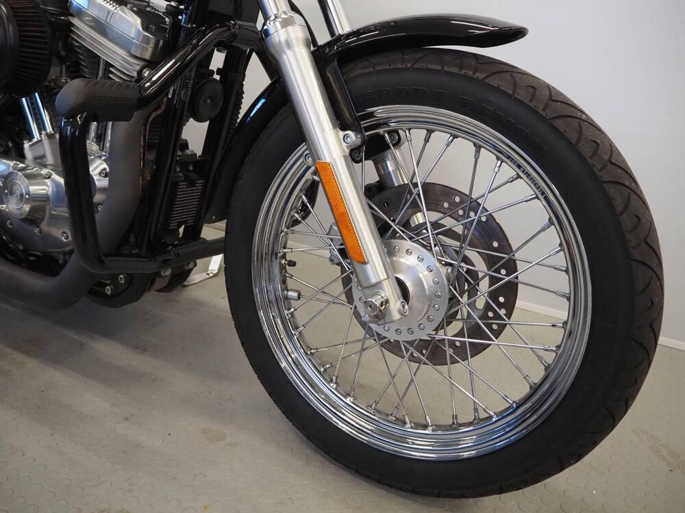 Harley-Davidson 883 Low (2005) - XL 883L (3)