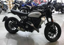 Ducati Scrambler 800 Icon (2023 - 24) usata