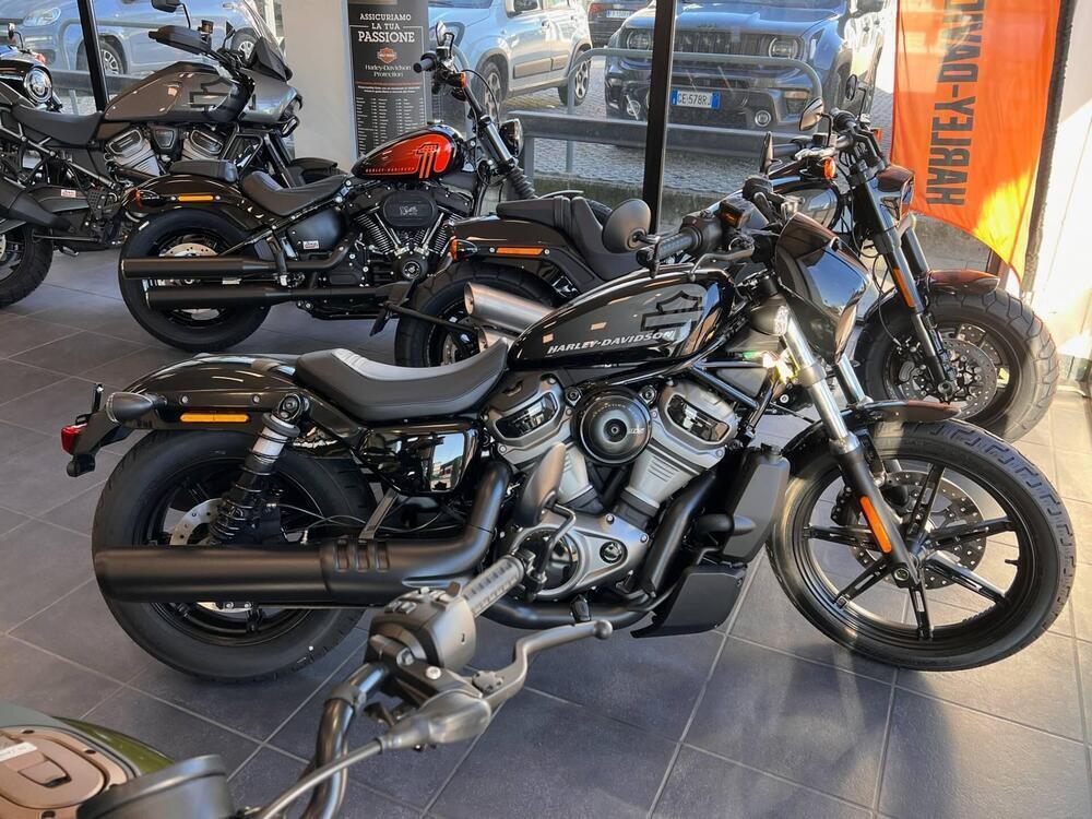 Harley-Davidson Nightster (2023 - 24)