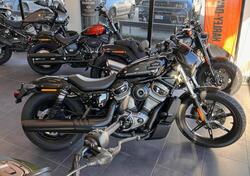 Harley-Davidson Nightster (2023 - 24) nuova