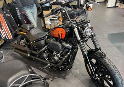 Harley-Davidson Street Bob 114 (2021 - 24) nuova