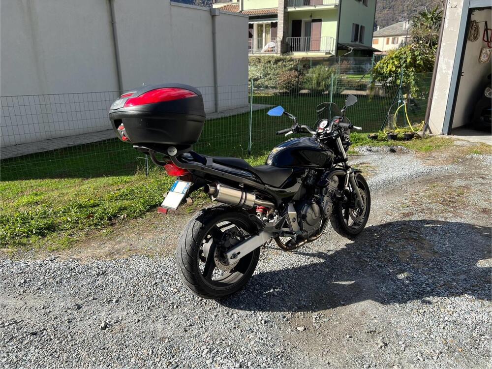 Honda Hornet 600 (2000 - 02) (2)