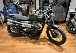 Triumph Scrambler 900 (2023 - 24) nuova