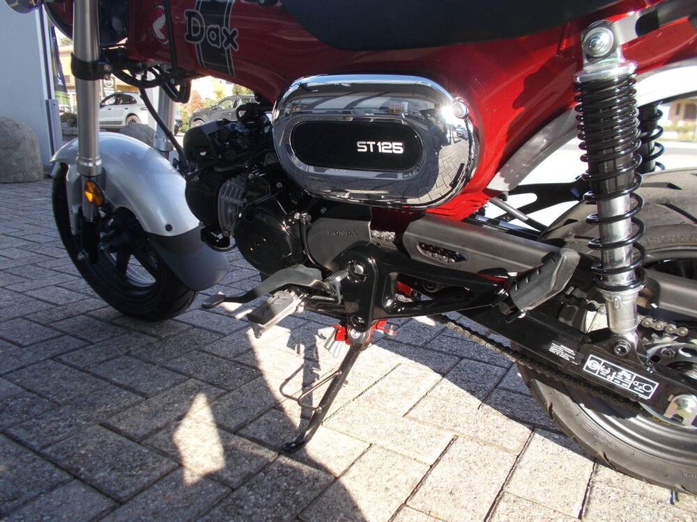 Honda Dax 125 (2023 - 24) (5)