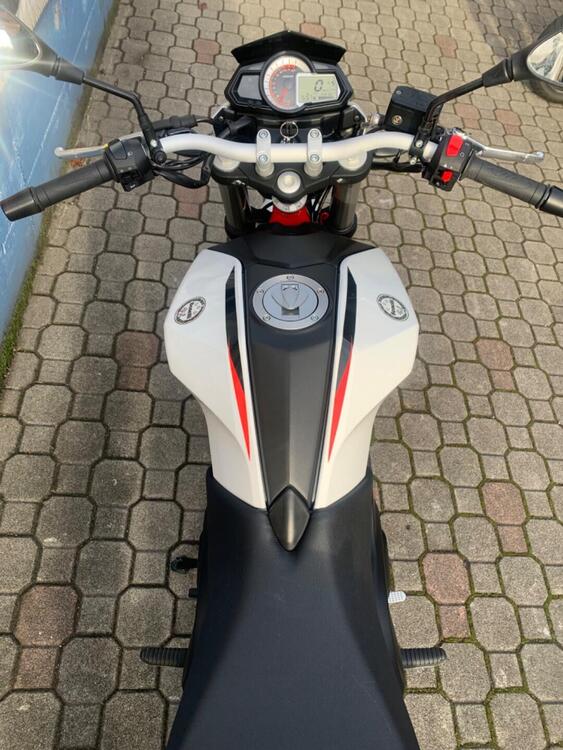 Benelli BN 251 (2017 - 20) (4)