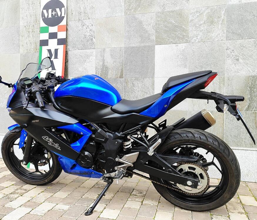 Kawasaki Ninja 125 (2021 - 24) (3)