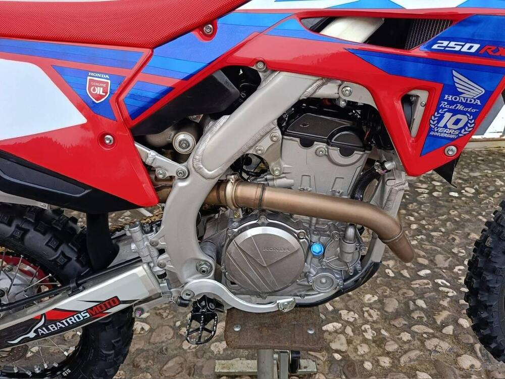 Honda CRF 250 RX Enduro (2024) (4)