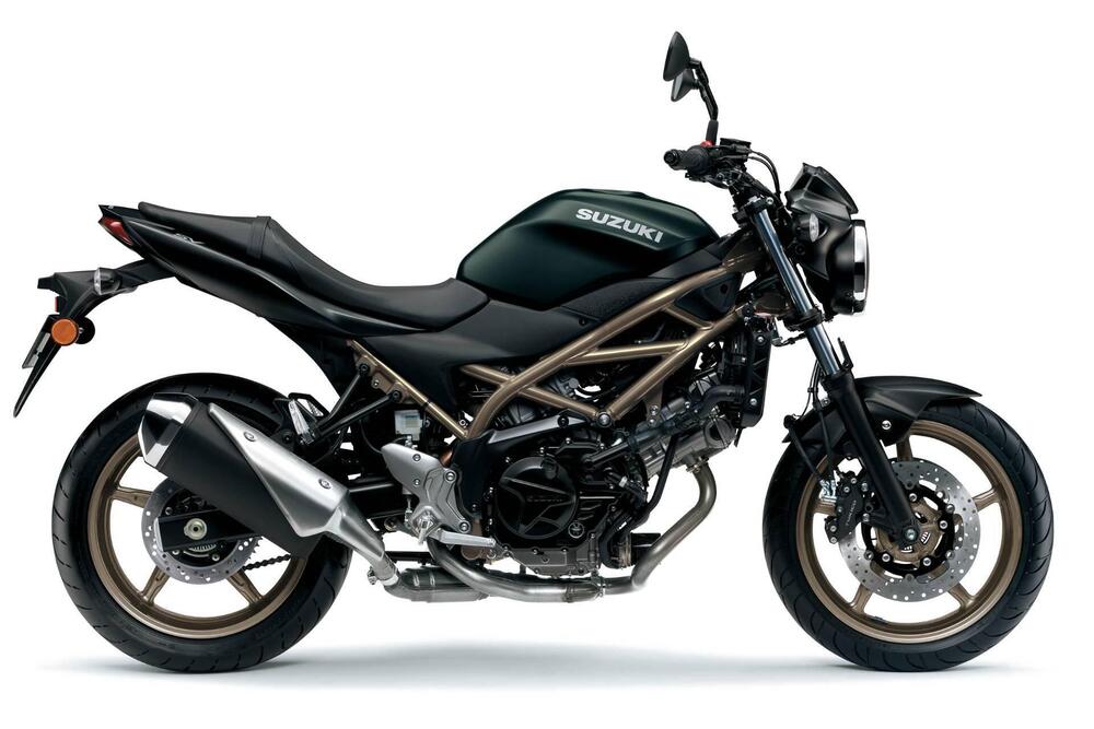 Suzuki SV650 (2021 - 24) (2)