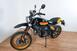 Ducati Scrambler 800 Desert Sled (2017 - 20) (8)