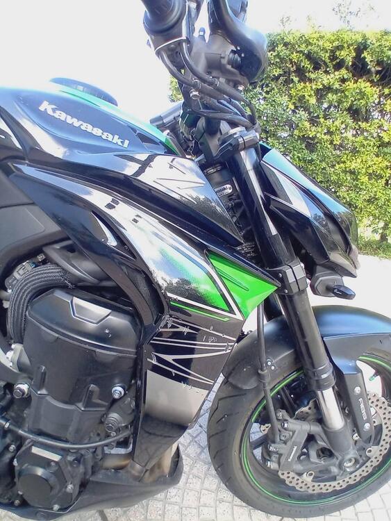 Kawasaki Z 1000 (2017 - 20) (2)