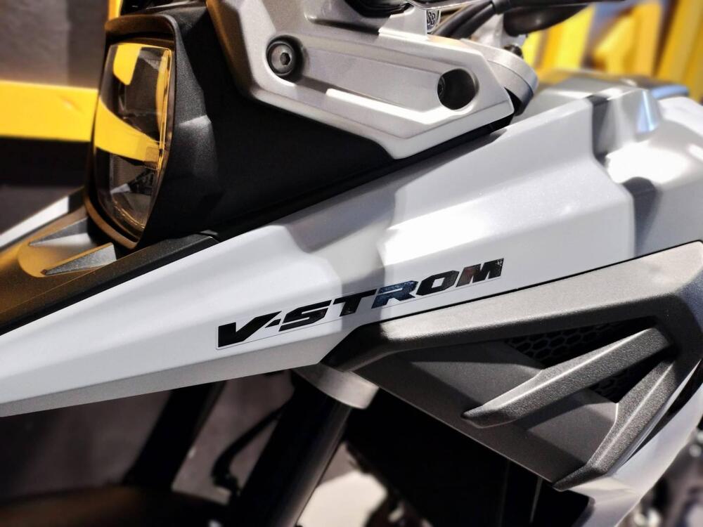 Suzuki V-Strom 1050SE (2023 - 24) (4)