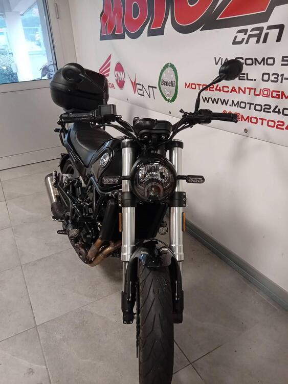 Benelli Leoncino 500 (2021 - 24) (3)