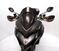 Ducati Multistrada 1260 S (2018 - 20) (13)