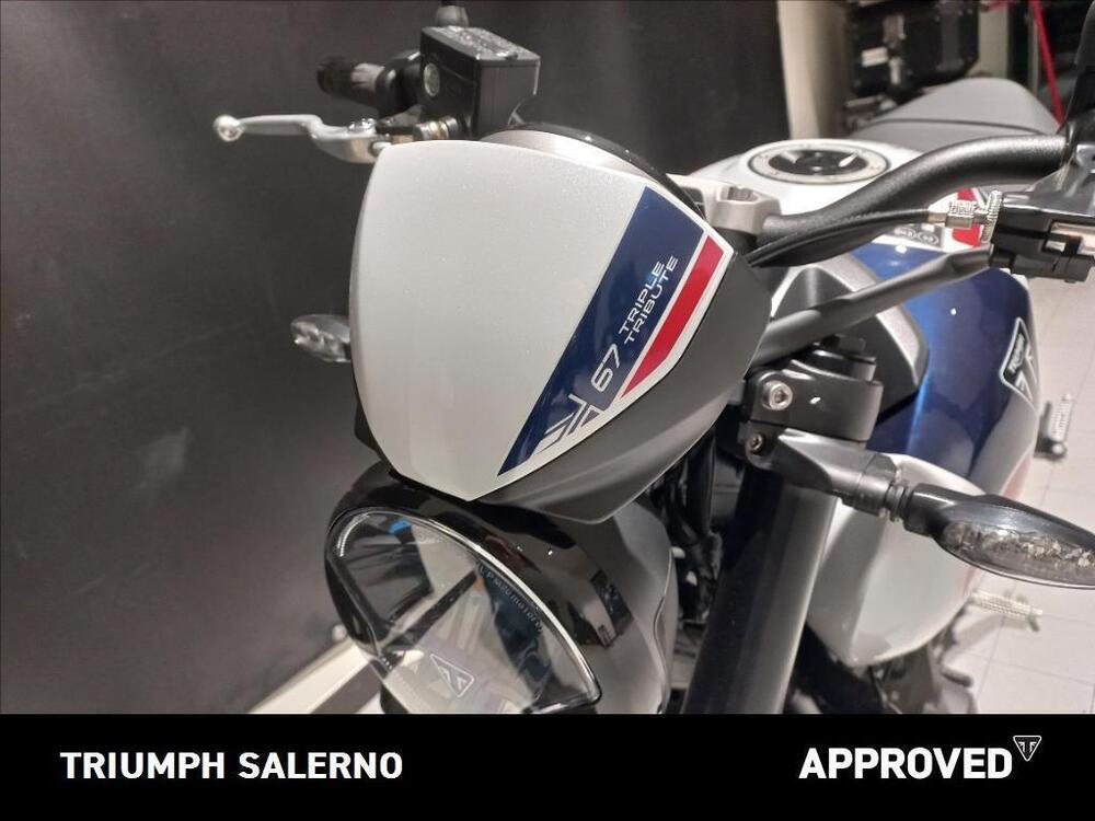 Triumph Trident 660 Triple Tribute Edition (2024) (4)