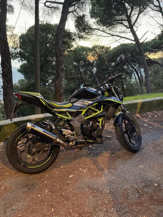 Kawasaki Z 125 (2019 - 20)