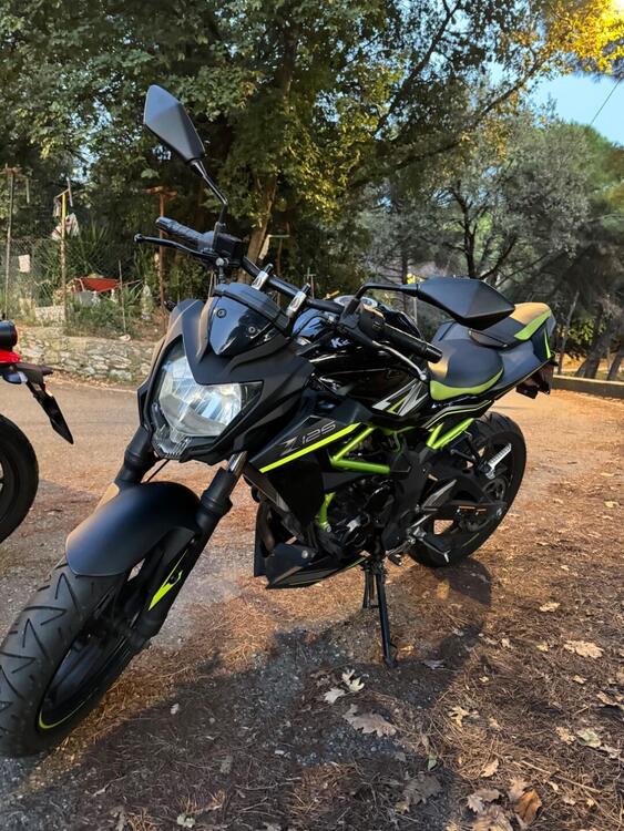 Kawasaki Z 125 (2019 - 20) (3)