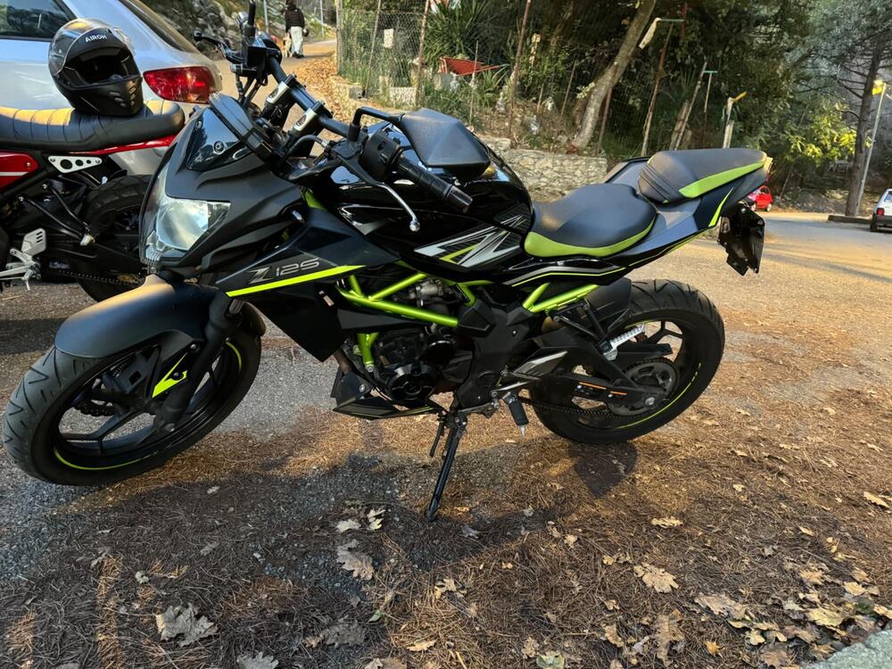 Kawasaki Z 125 (2019 - 20) (4)