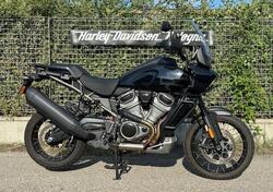 Harley-Davidson Pan America 1250 Special (2020 - 24) usata