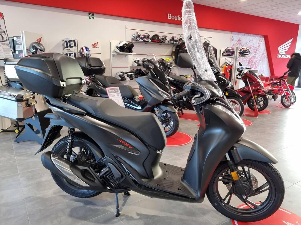 Honda SH 150i Sport (2022 - 24)