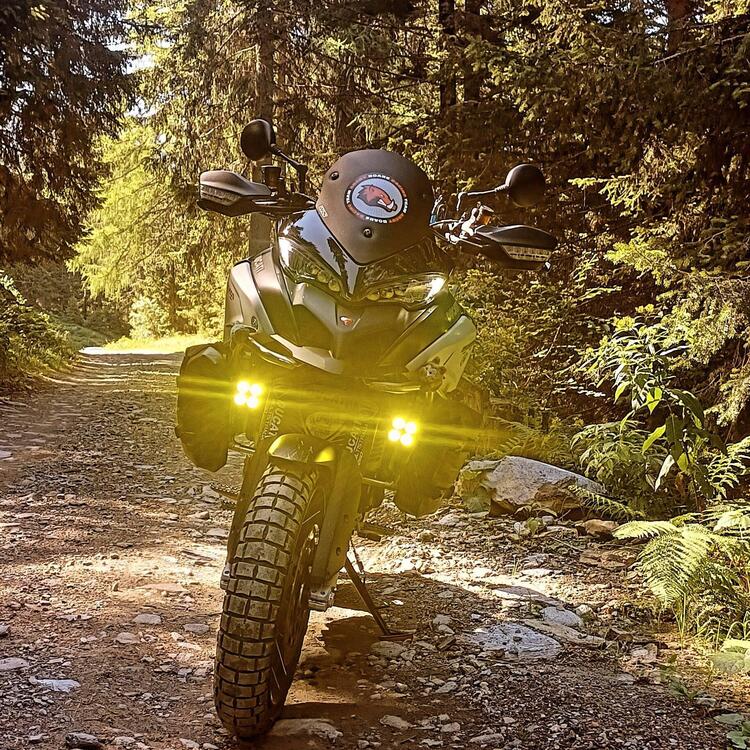 Ducati Multistrada 1260 Enduro (2019 - 21)