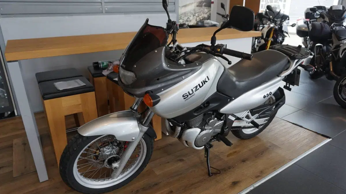 Suzuki XF 650 Freewind (1997 - 03) (3)