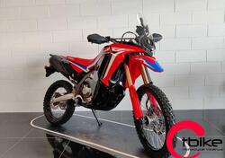 Honda CRF 300 Rally (2021 - 24) nuova