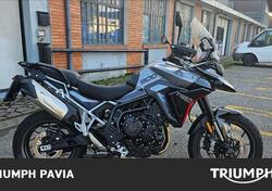 Triumph Tiger 900 GT Pro (2024) usata