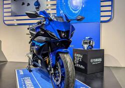 Yamaha YZF R7 (2021 - 24) nuova