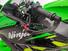 Kawasaki Ninja 1000 ZX-10R KRT Replica (2019 - 20) (14)