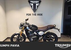 Triumph Scrambler 400 X (2024) usata