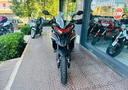 Benelli TRK 702 (2023 - 24) nuova