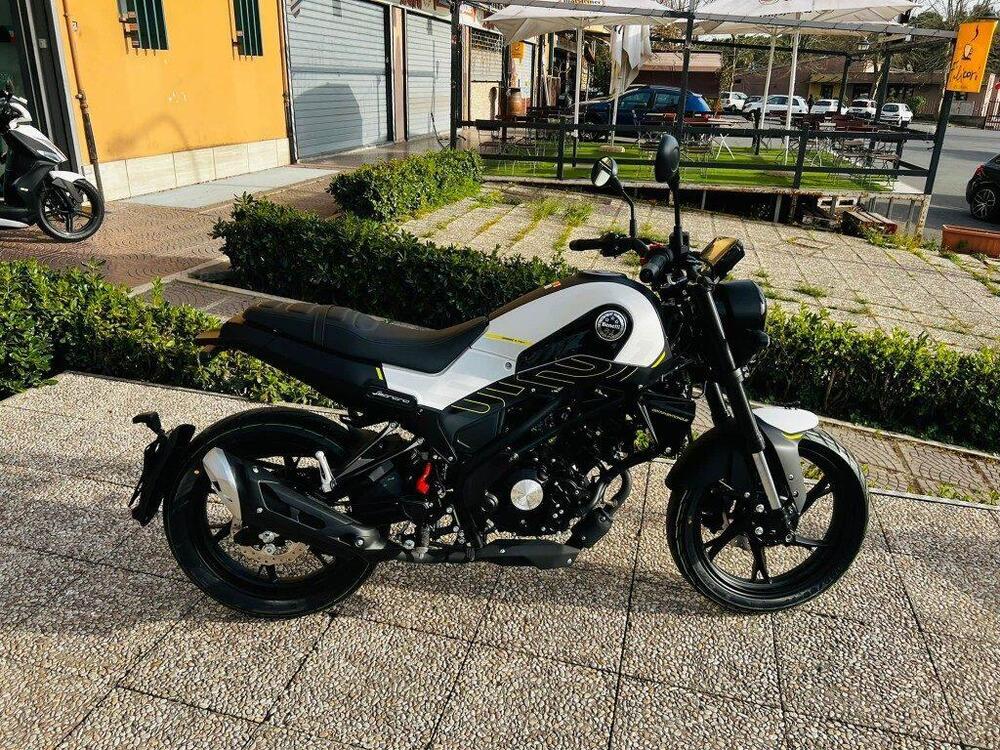 Benelli Leoncino 125 (2022 - 24) (3)