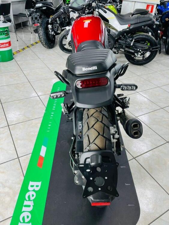 Benelli Leoncino 500 (2021 - 24) (2)