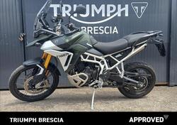 Triumph Tiger 900 Rally Pro (2024) usata