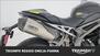 Triumph Speed Triple 1050 RS (2018 - 20) (16)