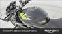 Triumph Speed Triple 1050 RS (2018 - 20) (17)