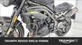 Triumph Speed Triple 1050 RS (2018 - 20) (18)