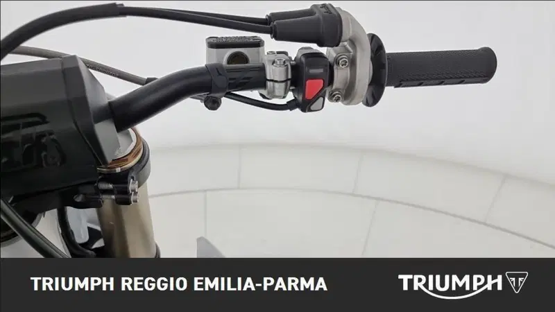Triumph TF 250-X (2024 - 25) (10)
