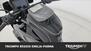 Harley-Davidson Pan America 1250 (2020 - 24) (12)