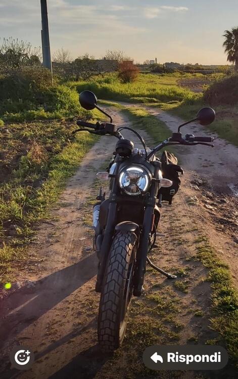 Ducati Scrambler 800 Icon Dark (2020) (3)