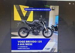 Voge Brivido 125R (2023 - 24) nuova