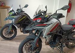 Benelli TRK 702X (2023 - 24) nuova