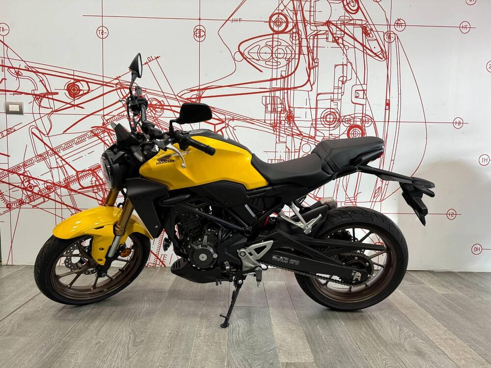 Honda CB 300 R (2022 - 24) (2)