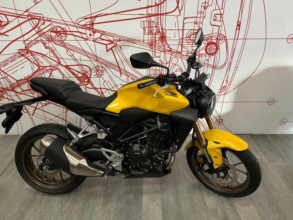 Honda CB 300 R (2022 - 24) (3)